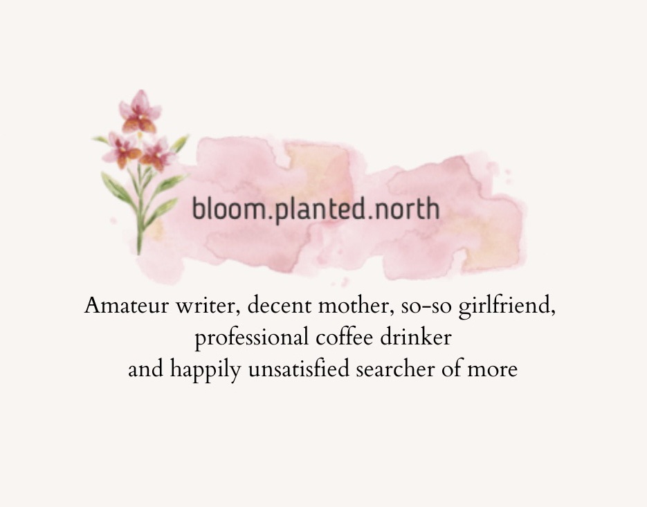 Amateur writer, decent mother, so-so girlfriend, professional searcher of more –&nbsp;1